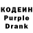 Codein Purple Drank Luiza Anarmatova