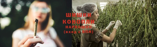 ешки Верхний Тагил
