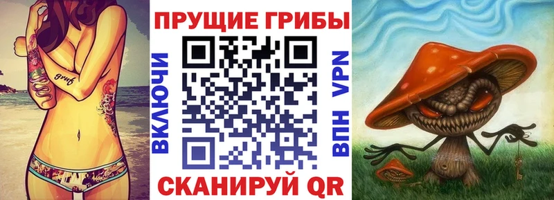 Псилоцибиновые грибы ЛСД  купить наркотики цена  мега ссылка  Иваново 
